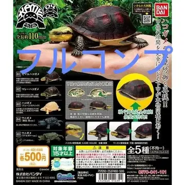 생물대도감 거북 04 풀컴프