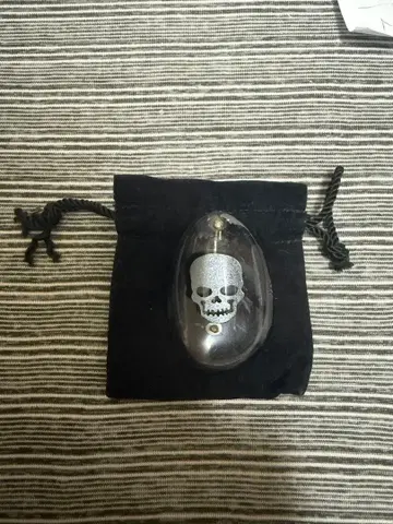 [ 초레어 ] NUMBER (N)INE 스컬 브로치 넘버나인