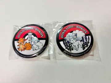 포켓몬 로컬 Acts 로콘 홋카이도 한정 캔뱃지