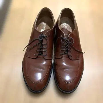 Alden. 구형 로고 549 SIZE 8