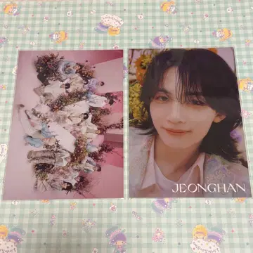 세븐틴 뮤지엄 포토카드 정한