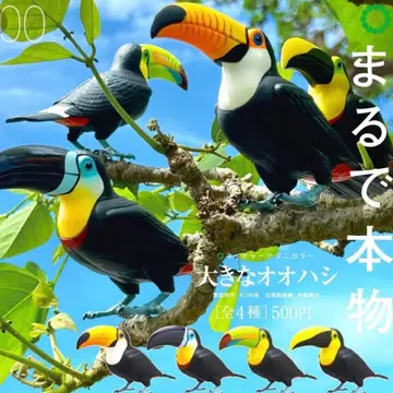 커다란 본테 가챠 총 4종