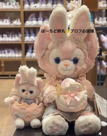 포치도 타마마루 프로필 필독님