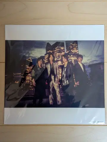 미사용 새상품 GLAY 메가재킷 Dead Or Alive