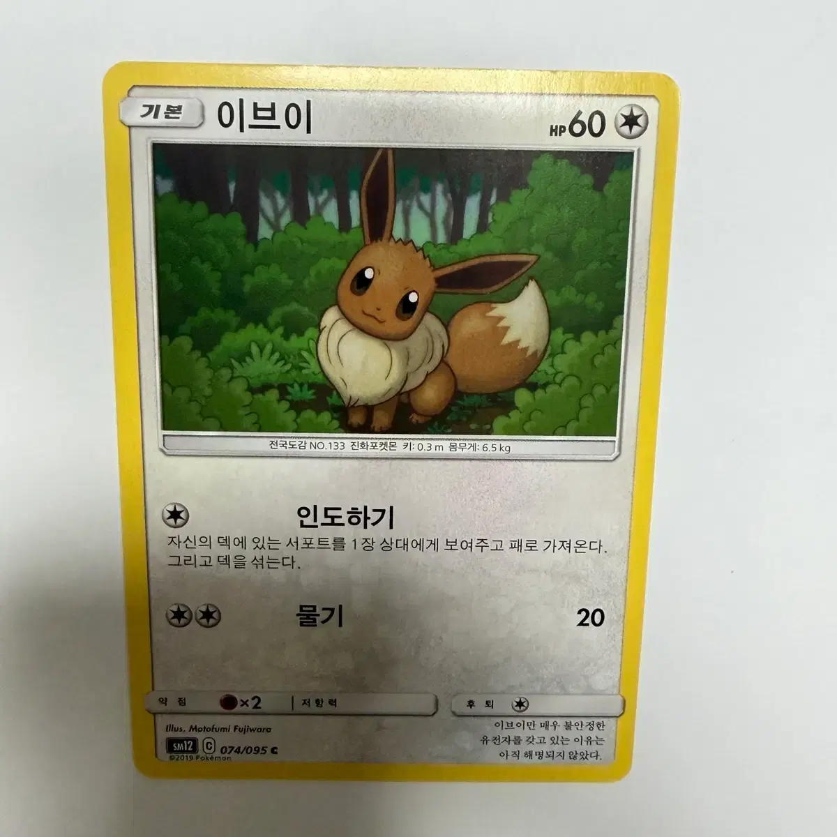 Items Similar to Pokemon Card Raikou V Eevee EX Grade 10 Cards Bulk | Global Bunjang Items Similar to Pokemon Card Raikou V Eevee EX Grade 10 Cards Bulk | Global Bunjang