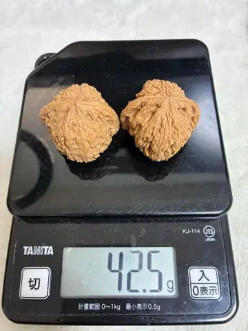 문완 호두 (남강석)