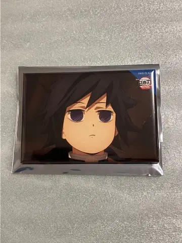 귀멸의 칼날 무한성편 전방위 컬렉션 캔뱃지 토미오카 기유