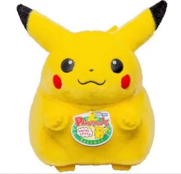 포켓몬 30주년 기념 어서 와! 피카츄 1/1