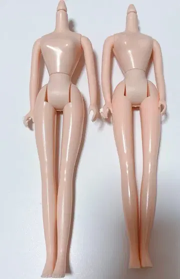 리카짱 캐슬 제니 바디만