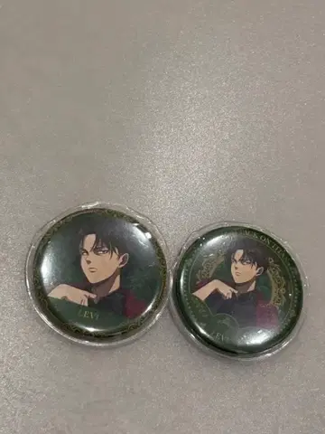 진격의 거인 MAPPA 리바이 후쿠오카 이온