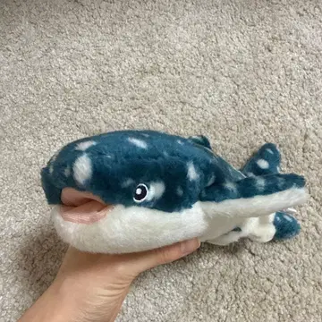 고래상어 봉제 인형 오키나와 추라우미 수족관