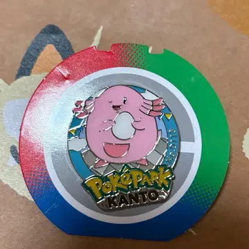 포케파크 포켓몬 럭키 핀즈