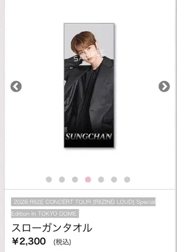 SUNGCHAN 슬로건 타월 2026 RIIZE CONCERT