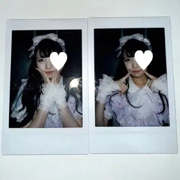 코구마 마무 란체키 수국 iLiFE!