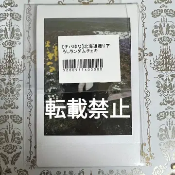 큐루링 해봐 큐루해 치바 유나 홋카이도 촬영 폴라로이드