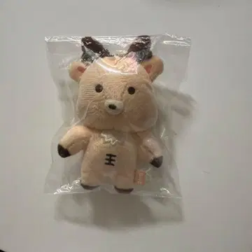 riize 성찬 봉제 인형