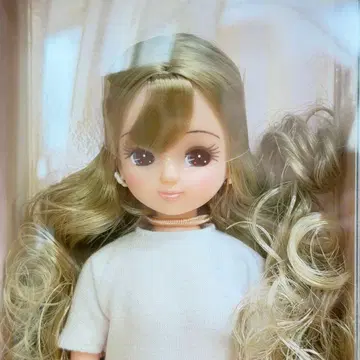 리카짱 캐슬 벌스데이 모델 벌스데이