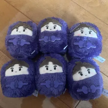 닌타마 타케야 하치자에몬 타피누이