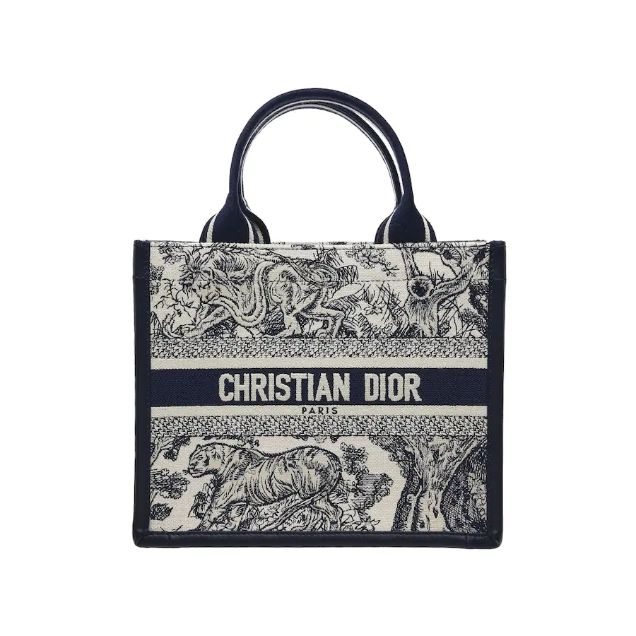 迪奥 Book Tote 小型手提包