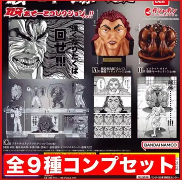 바키 아소트 컬렉션!! 전 9종 컴프 세트