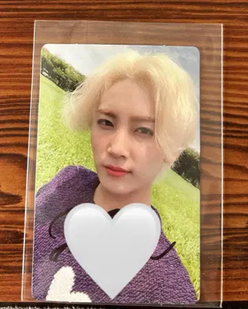 정한 seventeen 친필 사인