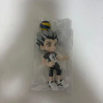 하이큐 하이큐!! PalVerse 보쿠토 코타로