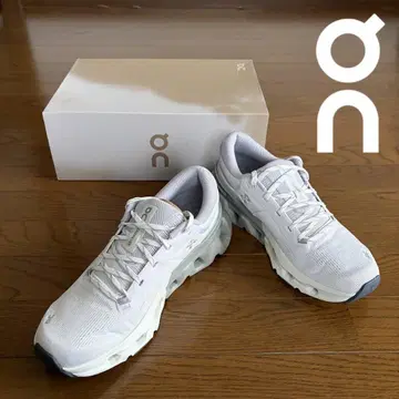 새상품 On Cloudflyer 5 남성용 | 온 러닝화