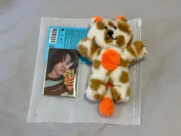 BOYNEXTDOOR BBNEXDO CATBBI