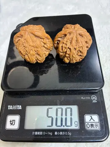 대수근 문완호두 페어