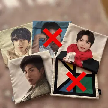 CNBLUE 용화 솔로 라이브 쿠션 커버