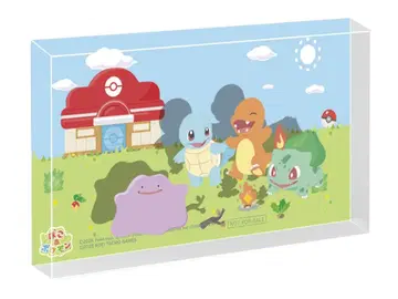 포코아 TSUTAYA 한정판 아크릴 블록