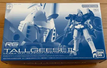 RG 1/144 톨기스 II