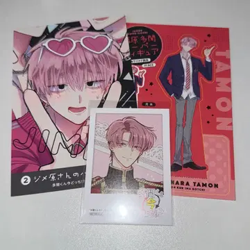 타몬군 지금 어느 쪽!? 후쿠하라 타몬 카드 묶음 판매 2