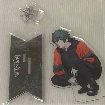 브라스 아크릴 피규어 브라라이 (팀 B 히스)