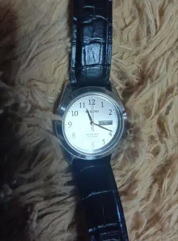 시티즌 REGNO 솔라텍 가죽 손목시계 실버/블랙