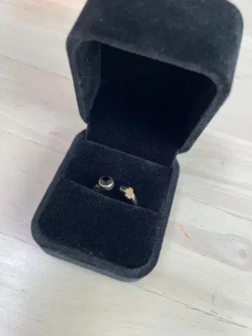 치. 지구의 운동에 대하여 바데니 반지