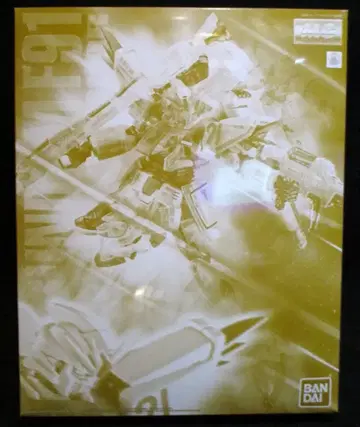 반다이 MG 건담 F91 Ver.2.0 잔상 이미지 컬러 1/100