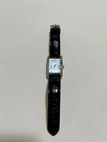 Armani 손목시계 쿼츠 실버/블랙