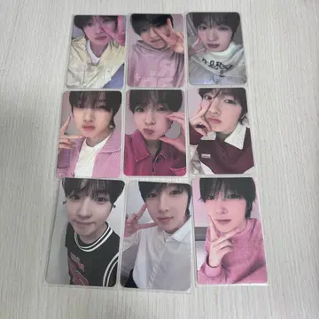 사쿠야 트레이딩 카드 nctwish steady 세트