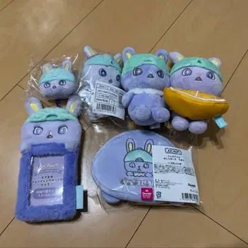 키마타 쇼야 JOCHUM 치마타