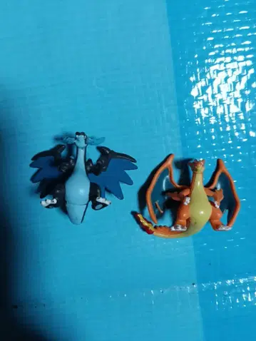 메가리자몽Y 포켓몬 겟 컬렉션 캔디 메가리자몽X