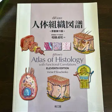 diFiore 인체 조직도감