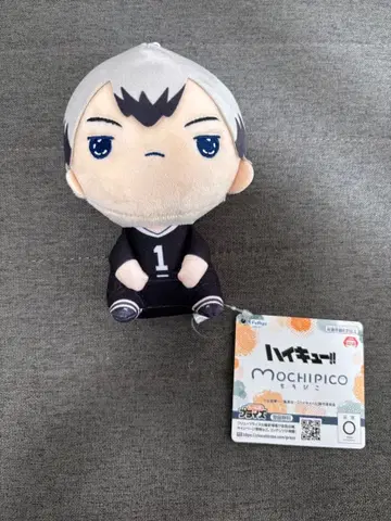 하이큐 모찌피코 봉제 인형 키타 신스케