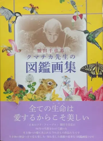 구류당 쿠마다 치카모 쿠마치카 선생님의 도감 화집