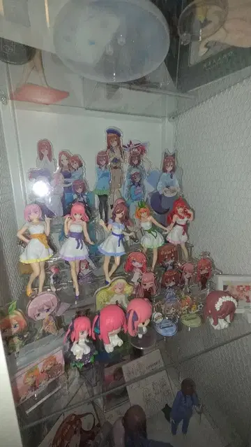 5등분의 신부 묶음 판매