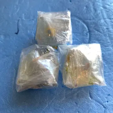 드래곤 퀘스트 시메다 마린 페어리 크리스탈 몬스터즈