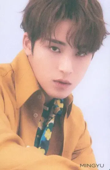 SEVENTEEN 히토리쟈나이 MINGYU 트레이딩 카드