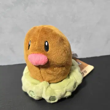 [ 택 포함 ] 디그다 Pokmon fit 봉제 인형 포켓몬 센터