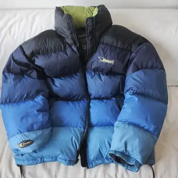 Bear USA 다운 자켓 M 사이즈 네이비/블루/그린