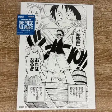 원피스 베이스샵 한정판 ONE PIECE ALL PAGES 루피